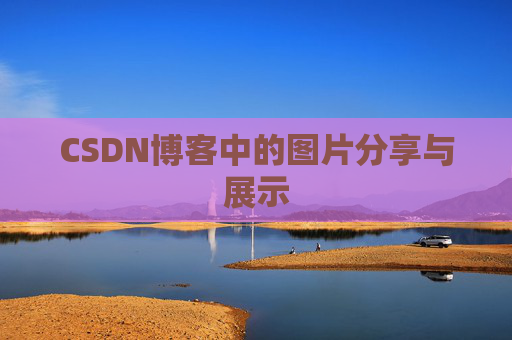 CSDN博客中的图片分享与展示